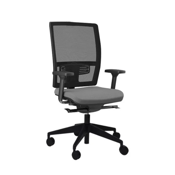 This office chair offers a combination of comfort and functionality