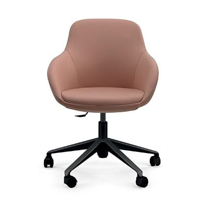 anna meeting chair