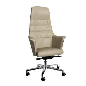 Executive office chairs