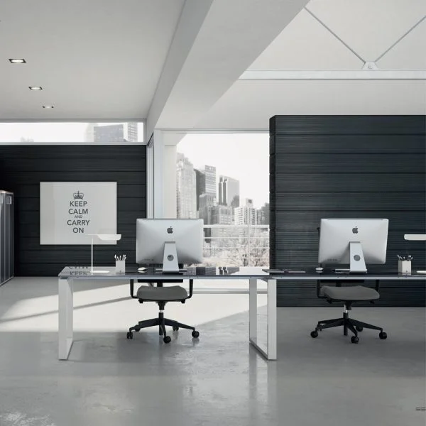 Double office desk for 2 employee