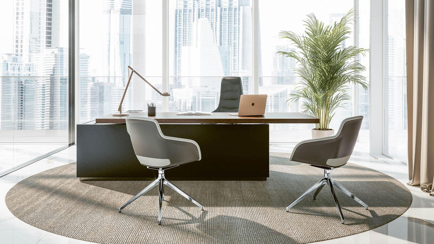 Luxury CEO Office