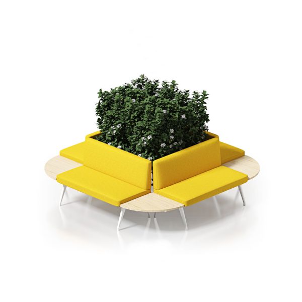 sofas around a box with greenery