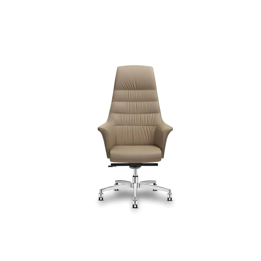 Luxury executive leather upholstery office chair with a tall back for managers